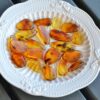 Natural Amber Insect Fossil Pendants, Polished Amber Jewelry Pieces - Image 2