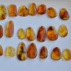 Natural Amber Insect Fossil Pendants, Polished Amber Jewelry Pieces - Image 3