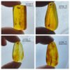 Natural Amber Insect Fossil Pendants, Polished Amber Jewelry Pieces - Image 8