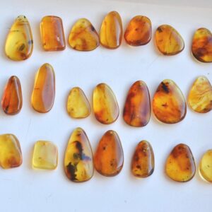 Natural Amber Insect Fossil Pendants, Polished Amber Jewelry Pieces AMBER000002