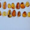 Natural Amber Insect Fossil Pendants, Polished Amber Jewelry Pieces - Image 5