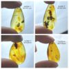 Natural Amber Insect Fossil Pendants, Polished Amber Jewelry Pieces - Image 6